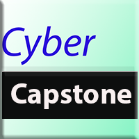 Cybersecurity Capstone